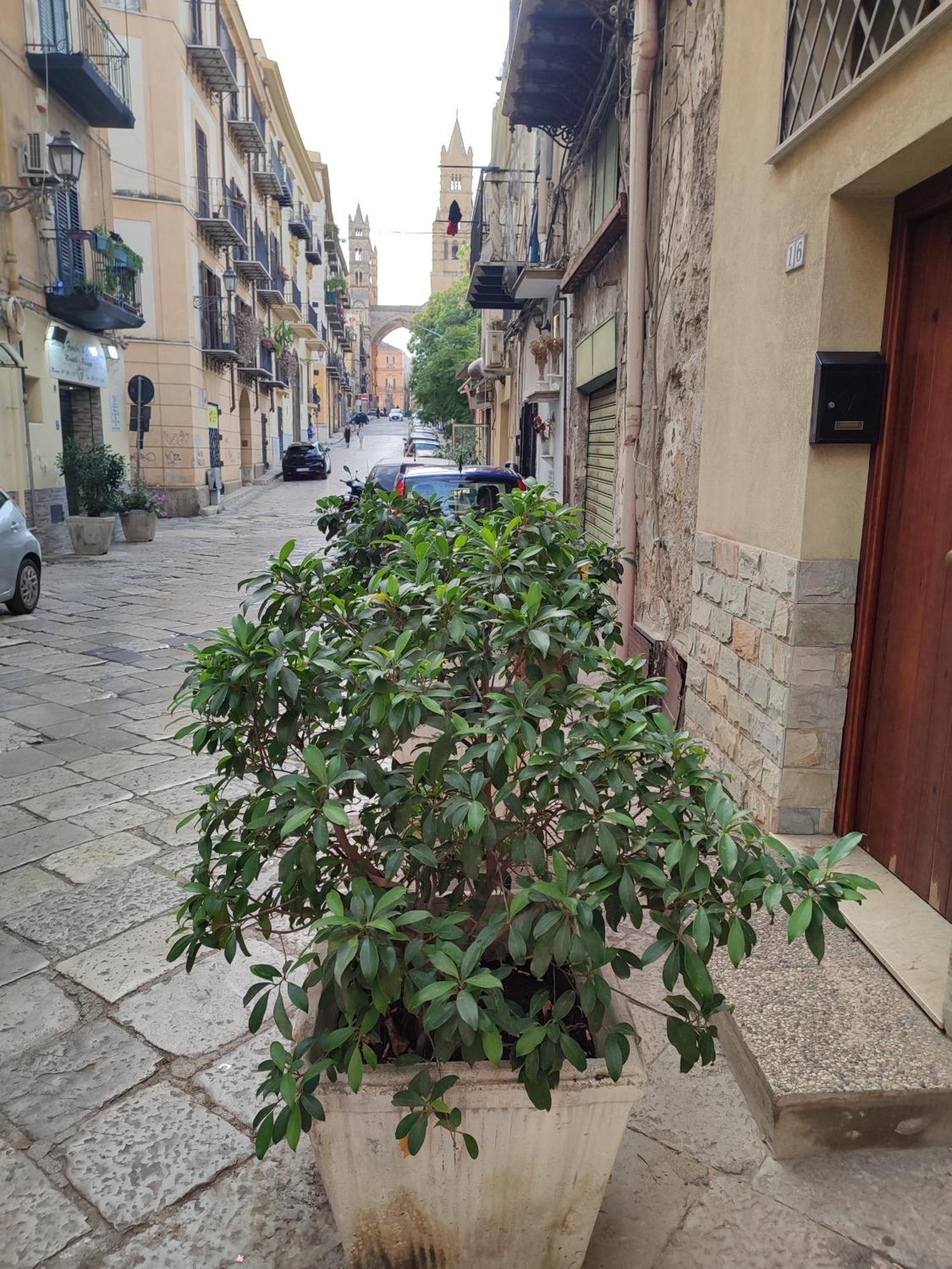 Villa Bonellus Palermo Exterior foto